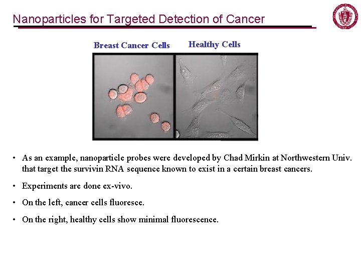 Nanoparticles for Targeted Detection of Cancer Breast Cancer Cells Healthy Cells • As an Nanoparticles for Targeted Detection of Cancer Breast Cancer Cells Healthy Cells • As an