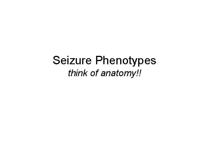 Seizure Phenotypes think of anatomy!! Seizure Phenotypes think of anatomy!!