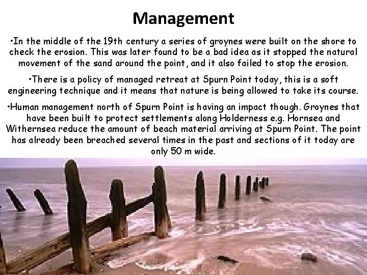 Management • In the middle of the 19 th century a series of groynes