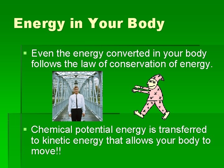 Energy in Your Body § Even the energy converted in your body follows the
