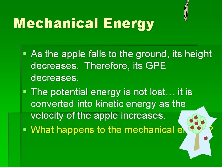 Mechanical Energy § As the apple falls to the ground, its height decreases. Therefore,