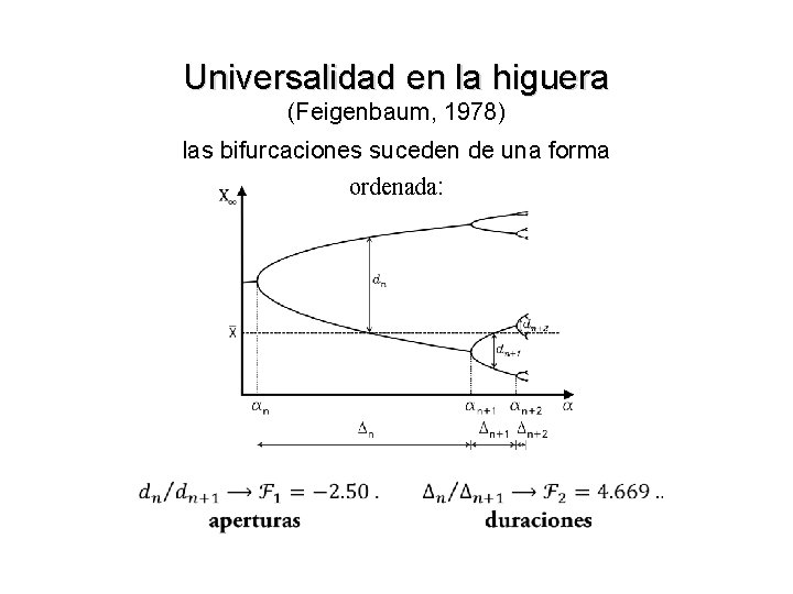 Universalidad en la higuera (Feigenbaum, 1978) las bifurcaciones suceden de una forma ordenada: 