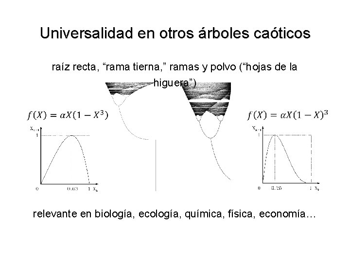 Universalidad en otros árboles caóticos raíz recta, “rama tierna, ” ramas y polvo (“hojas