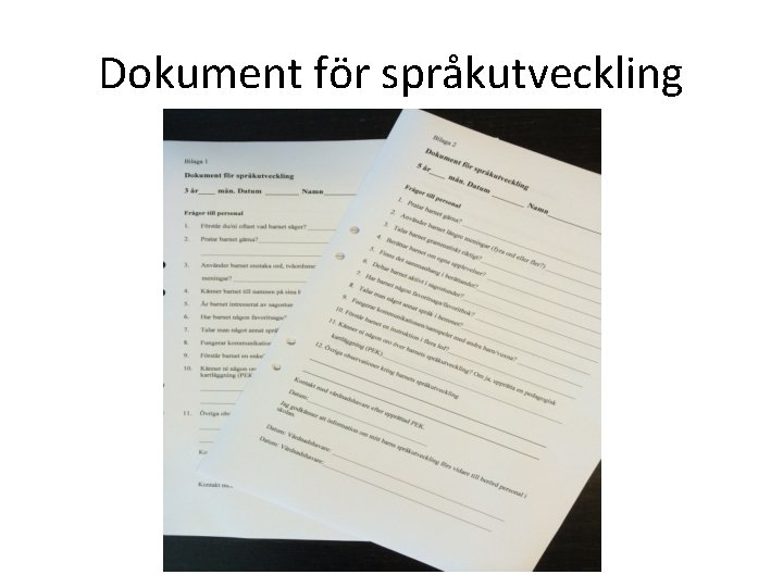 Dokument för språkutveckling 