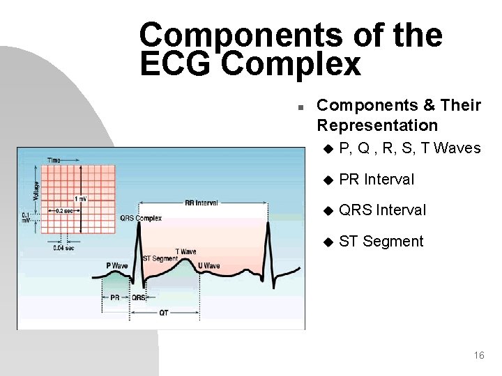 Components of the ECG Complex n Components & Their Representation u P, Q ,