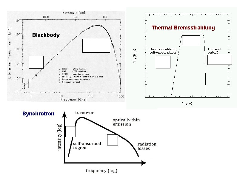 Thermal Bremsstrahlung Blackbody Synchrotron 