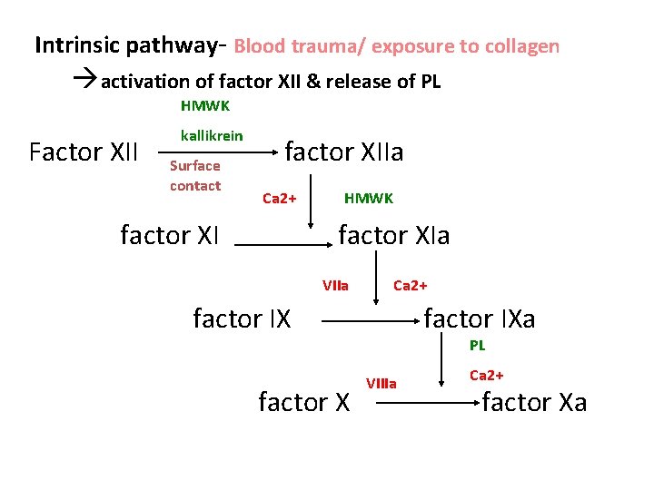 Intrinsic pathway- Blood trauma/ exposure to collagen activation of factor XII & release of