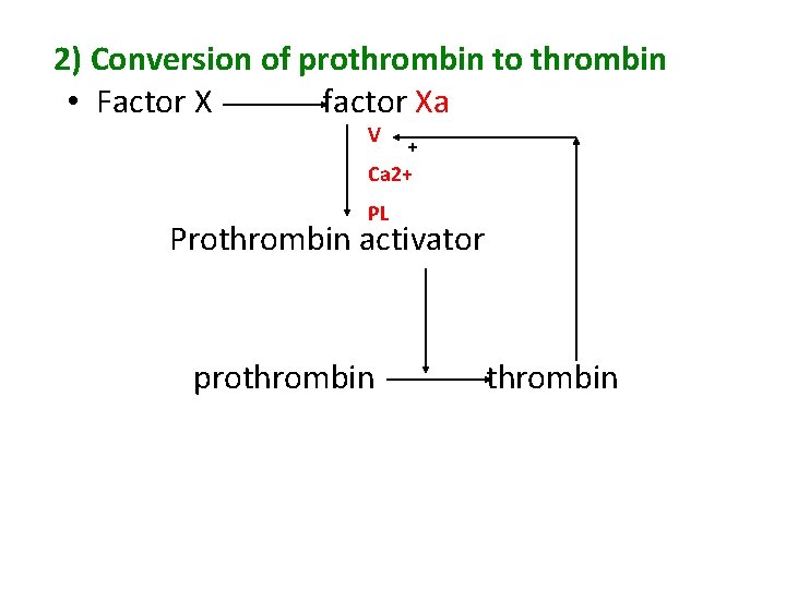 2) Conversion of prothrombin to thrombin • Factor X factor Xa V + Ca