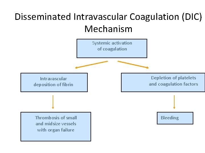 Disseminated Intravascular Coagulation (DIC) Mechanism Systemic activation of coagulation Intravascular deposition of fibrin Thrombosis