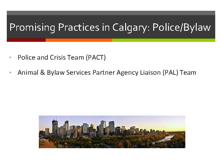 Promising Practices in Calgary: Police/Bylaw • Police and Crisis Team (PACT) • Animal &