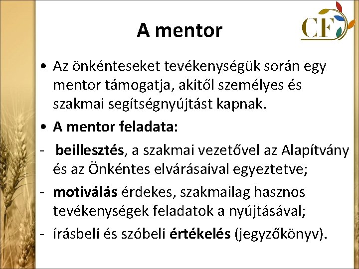 A mentor • Az önkénteseket tevékenységük során egy mentor támogatja, akitől személyes és szakmai