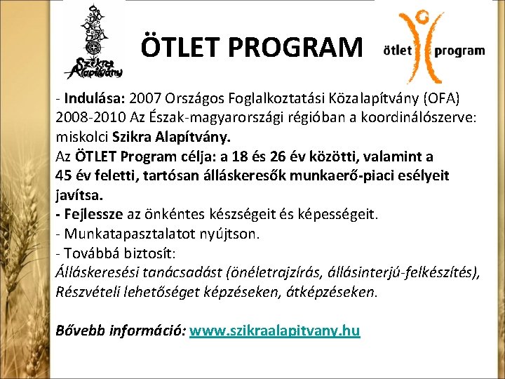 ÖTLET PROGRAM - Indulása: 2007 Országos Foglalkoztatási Közalapítvány (OFA) 2008 -2010 Az Észak-magyarországi régióban