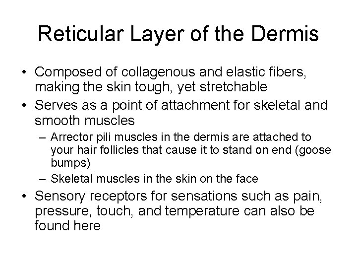 Reticular Layer of the Dermis • Composed of collagenous and elastic fibers, making the