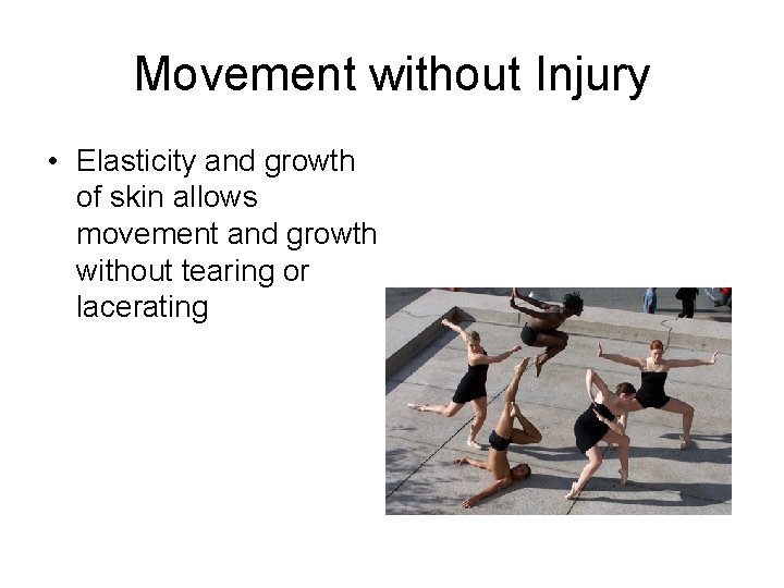 Movement without Injury • Elasticity and growth of skin allows movement and growth without