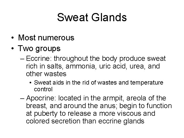 Sweat Glands • Most numerous • Two groups – Eccrine: throughout the body produce