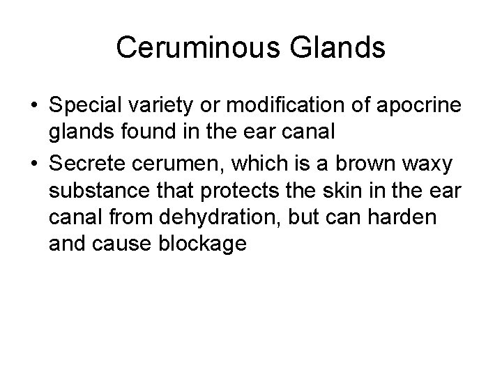 Ceruminous Glands • Special variety or modification of apocrine glands found in the ear