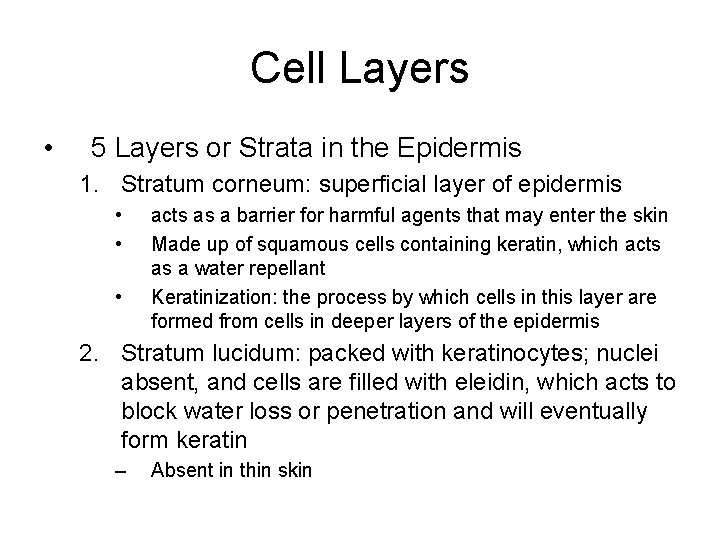 Cell Layers • 5 Layers or Strata in the Epidermis 1. Stratum corneum: superficial