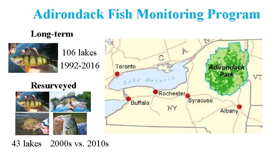 Adirondack Fish Monitoring Program Long-term 106 lakes 1992 -2016 Resurveyed 43 lakes 2000 s