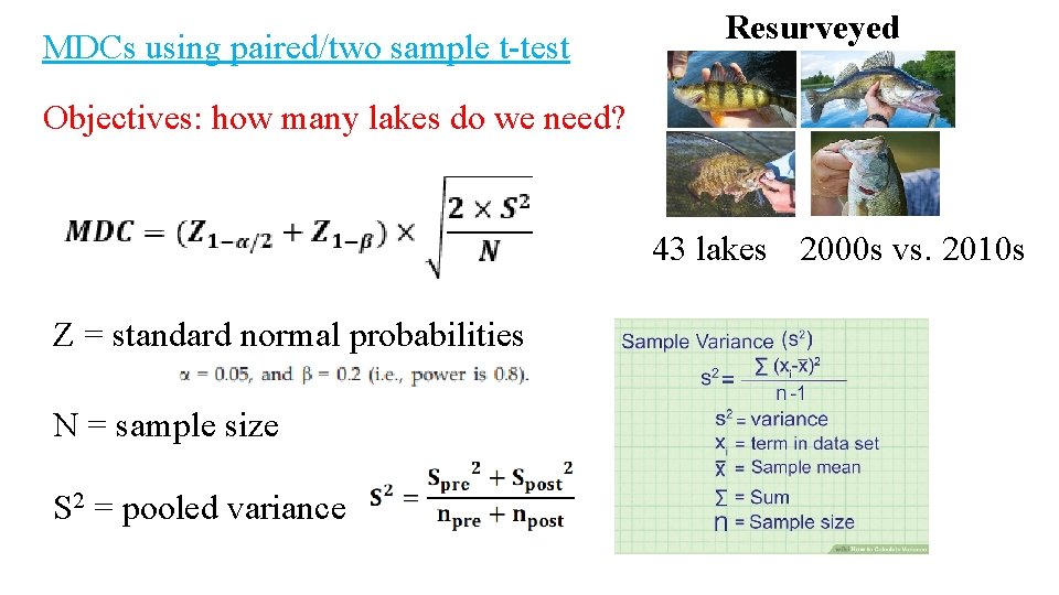 MDCs using paired/two sample t-test Resurveyed Objectives: how many lakes do we need? 43