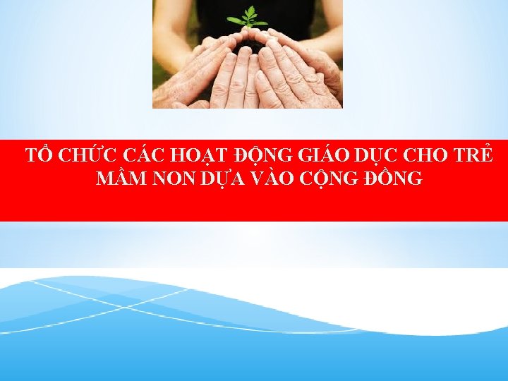 TỔ CHỨC CÁC HOẠT ĐỘNG GIÁO DỤC CHO TRẺ MẦM NON DỰA VÀO CỘNG