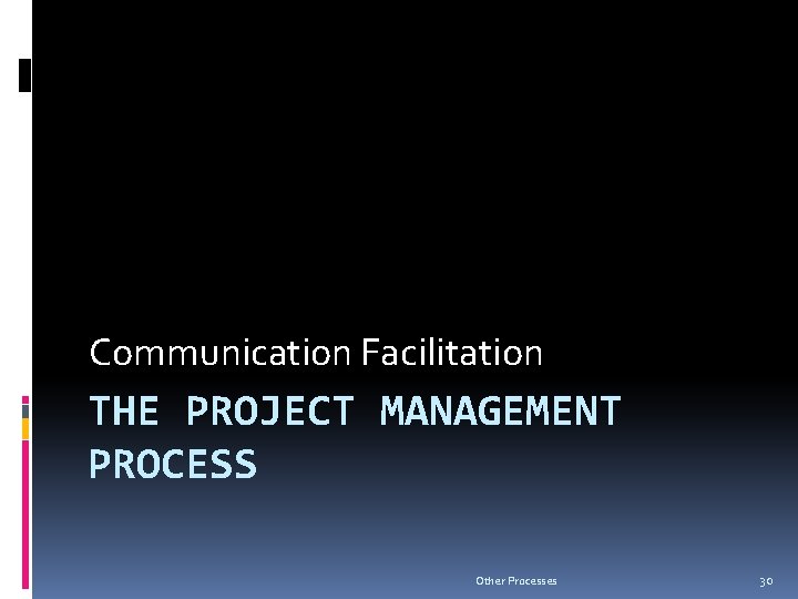 Communication Facilitation THE PROJECT MANAGEMENT PROCESS Other Processes 30 