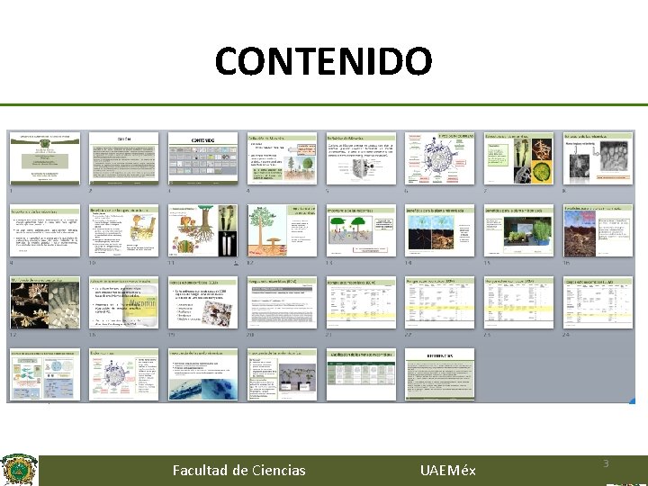 CONTENIDO Facultad de Ciencias UAEMéx 3 