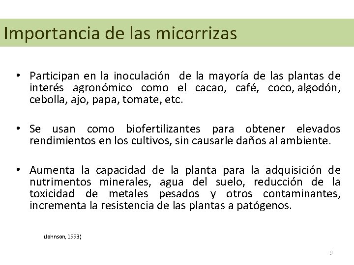 Importancia de las micorrizas • Participan en la inoculación de la mayoría de las