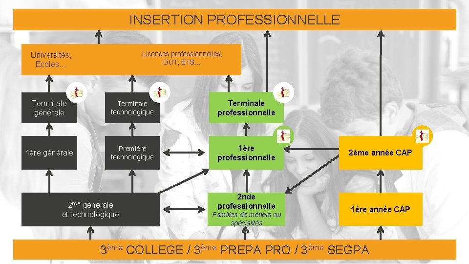 INSERTION PROFESSIONNELLE Licences professionnelles, DUT, BTS… Universités, Ecoles… Terminale générale Terminale technologique Terminale professionnelle