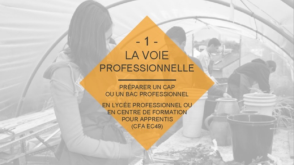 - 1 LA VOIE PROFESSIONNELLE PRÉPARER UN CAP OU UN BAC PROFESSIONNEL EN LYCÉE