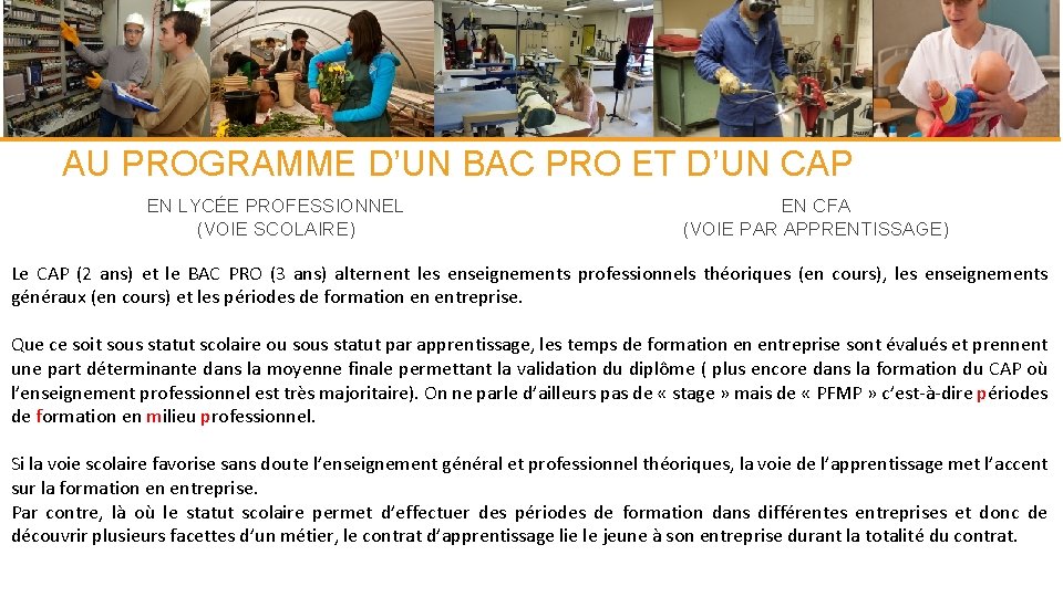 AU PROGRAMME D’UN BAC PRO ET D’UN CAP EN LYCÉE PROFESSIONNEL (VOIE SCOLAIRE) EN