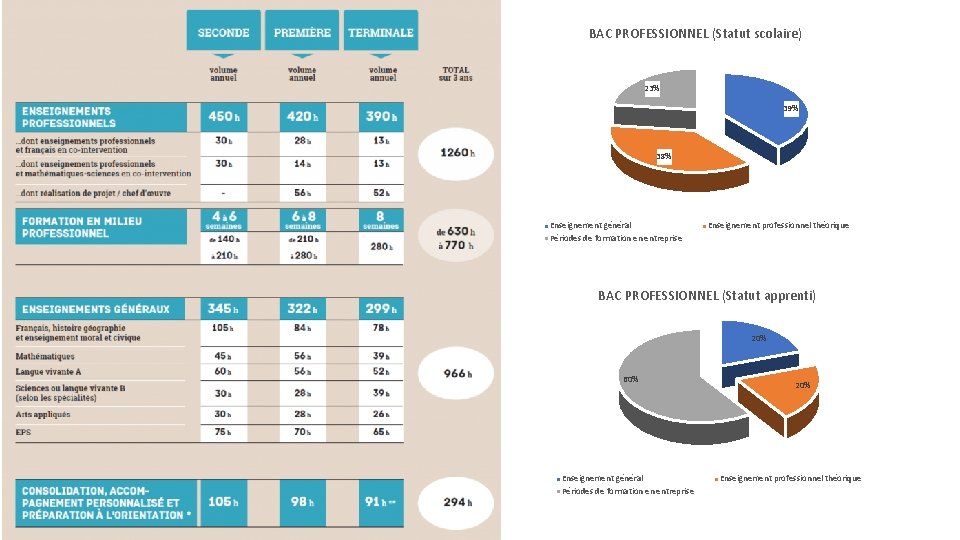 BAC PROFESSIONNEL (Statut scolaire) 23% 39% 38% Enseignement général Périodes de formation en entreprise