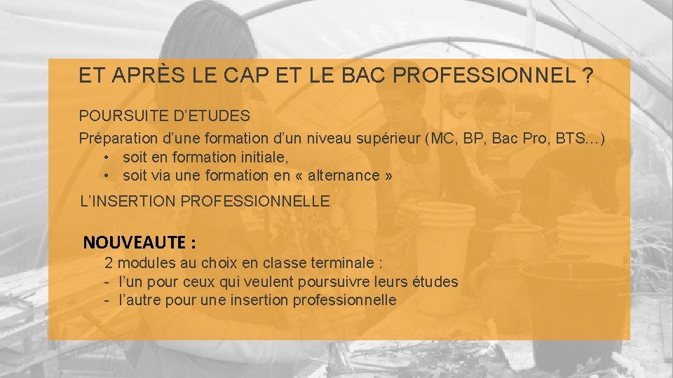 ET APRÈS LE CAP ET LE BAC PROFESSIONNEL ? POURSUITE D’ETUDES Préparation d’une formation