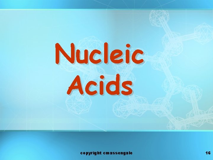 Nucleic Acids copyright cmassengale 16 