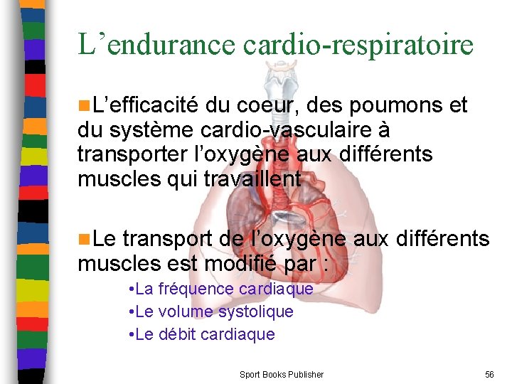 L’endurance cardio-respiratoire n. L’efficacité du coeur, des poumons et du système cardio-vasculaire à transporter