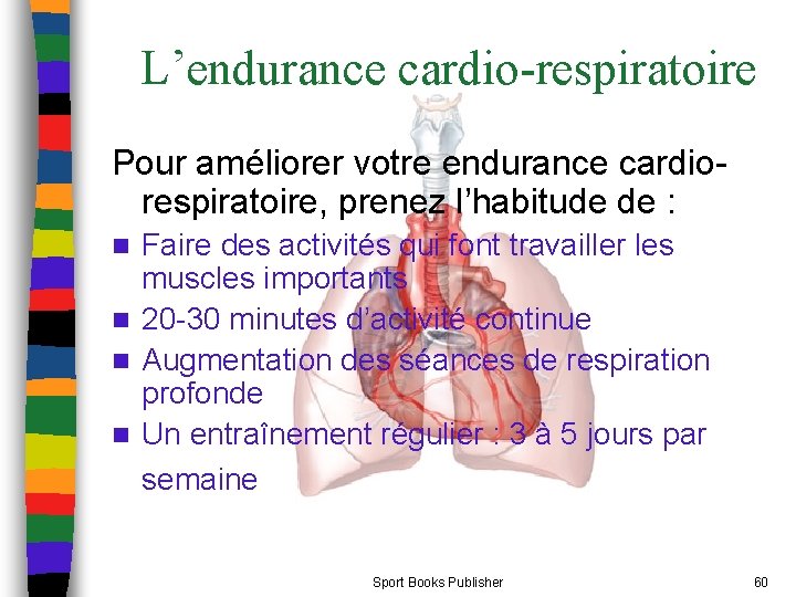 L’endurance cardio-respiratoire Pour améliorer votre endurance cardiorespiratoire, prenez l’habitude de : Faire des activités