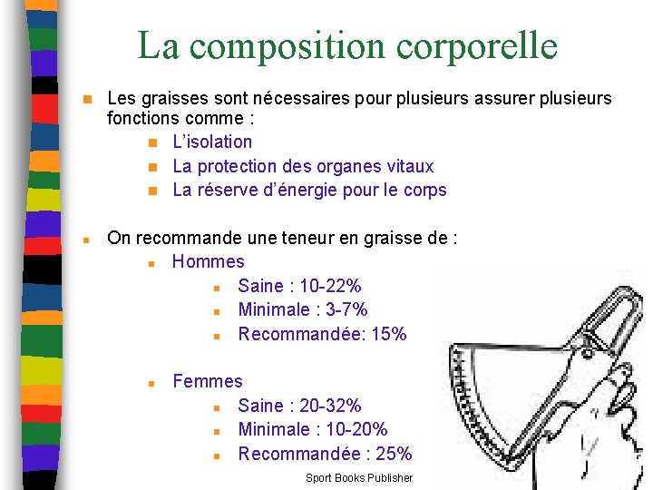 La composition corporelle n n Les graisses sont nécessaires pour plusieurs assurer plusieurs fonctions