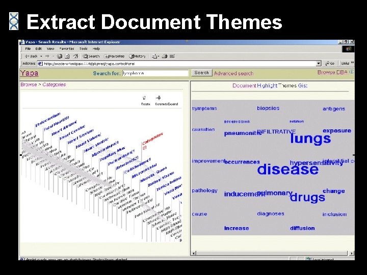 Extract Document Themes 