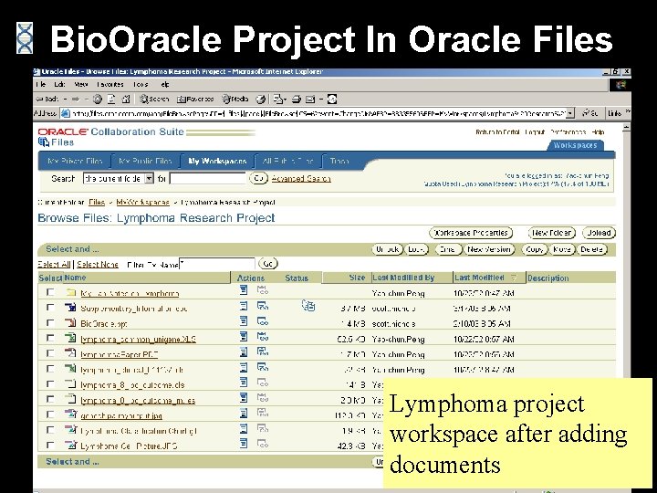 Bio. Oracle Project In Oracle Files Lymphoma project workspace after adding documents 