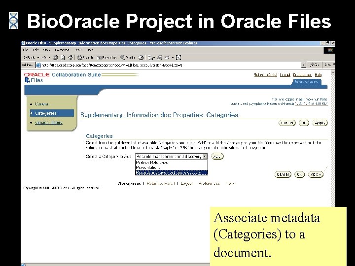 Bio. Oracle Project in Oracle Files Associate metadata (Categories) to a document. 