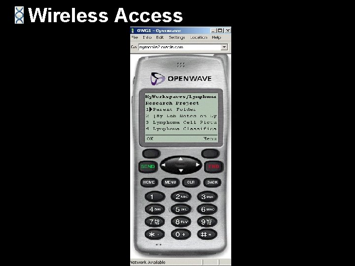 Wireless Access 