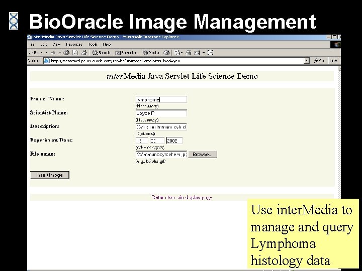 Bio. Oracle Image Management Use inter. Media to manage and query Lymphoma histology data