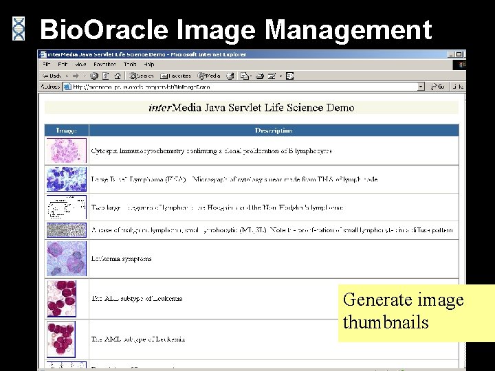 Bio. Oracle Image Management Generate image thumbnails 