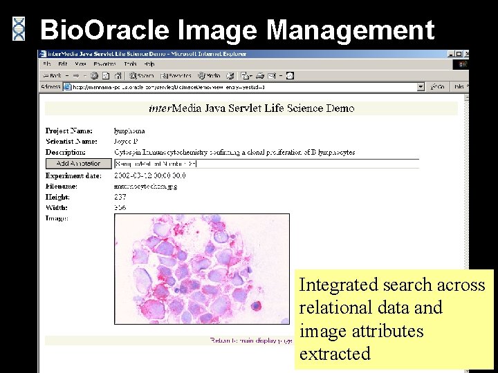 Bio. Oracle Image Management Integrated search across relational data and image attributes extracted 