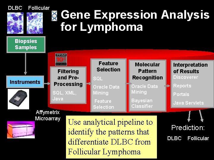 DLBC Follicular Gene Expression Analysis for Lymphoma Biopsies Samples Instruments Filtering and Pre. Processing