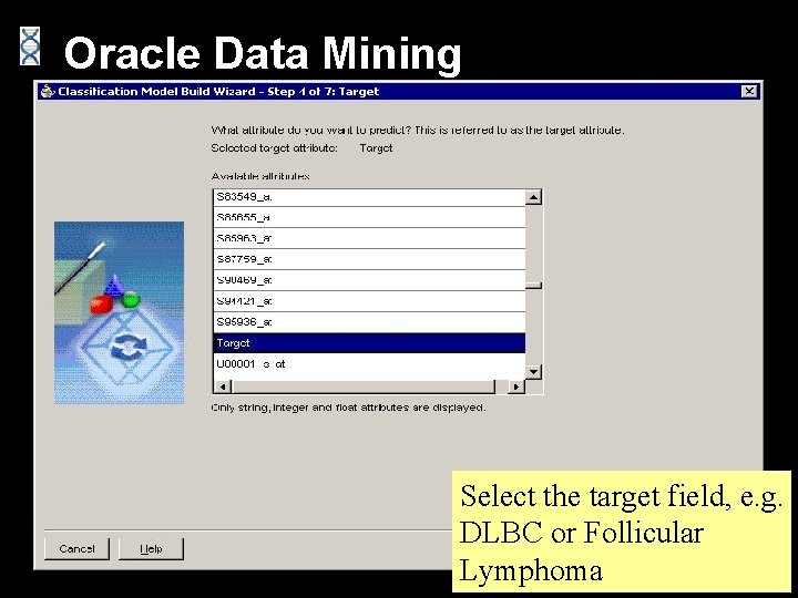 Oracle Data Mining Select the target field, e. g. DLBC or Follicular Lymphoma 