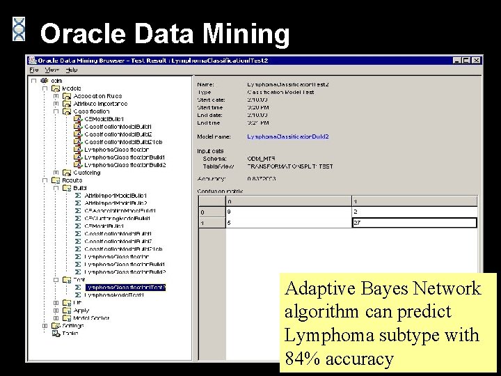 Oracle Data Mining Adaptive Bayes Network algorithm can predict Lymphoma subtype with 84% accuracy