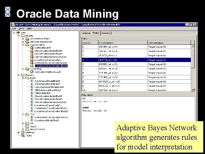 Oracle Data Mining Adaptive Bayes Network algorithm generates rules for model interpretation 