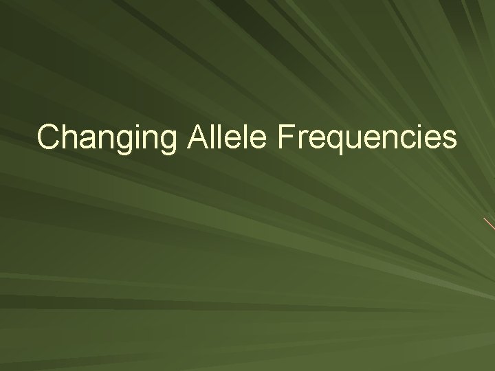 Changing Allele Frequencies 