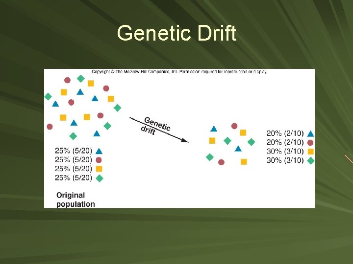 Genetic Drift 