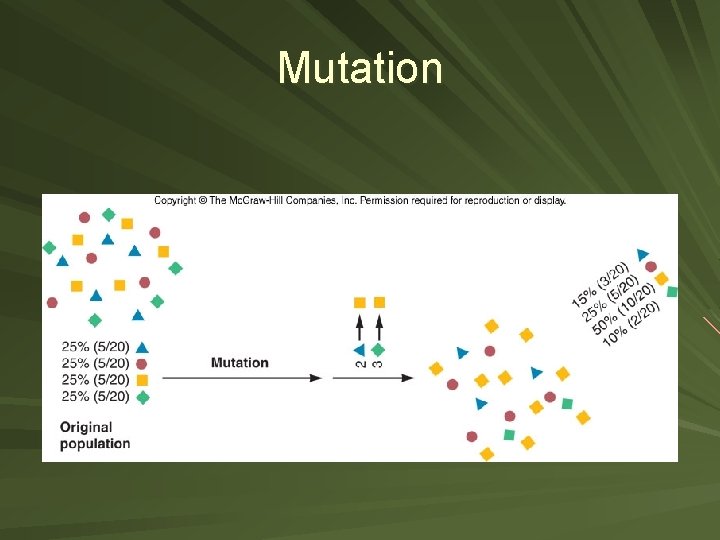 Mutation 